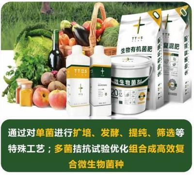 從辣椒加工到菌肥生產(chǎn)，她用五年搶占南方市場(chǎng)！_南方plus_南方+生物有機(jī)肥料研發(fā)