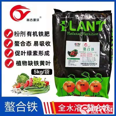 螯合鐵與復(fù)合微生物肥料 黃葉現(xiàn)象的綠色解決方案