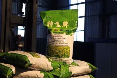 我縣神飛生物科技股份簽訂超千萬元大單，引領(lǐng)復合微生物肥料研發(fā)新篇章